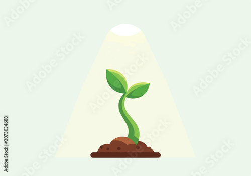 Schilderij op canvas A green plant sprout grows from brown soil under a spotlight