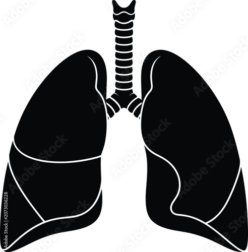 Black silhouette anatomical illustration of human lungs and trachea, showcasing respiratory system structure and medical anatomy