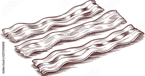Vintage hand drawn bacon strips vector illustration, retro engraved style fried bacon slices, rustic meat breakfast food sketch on white background