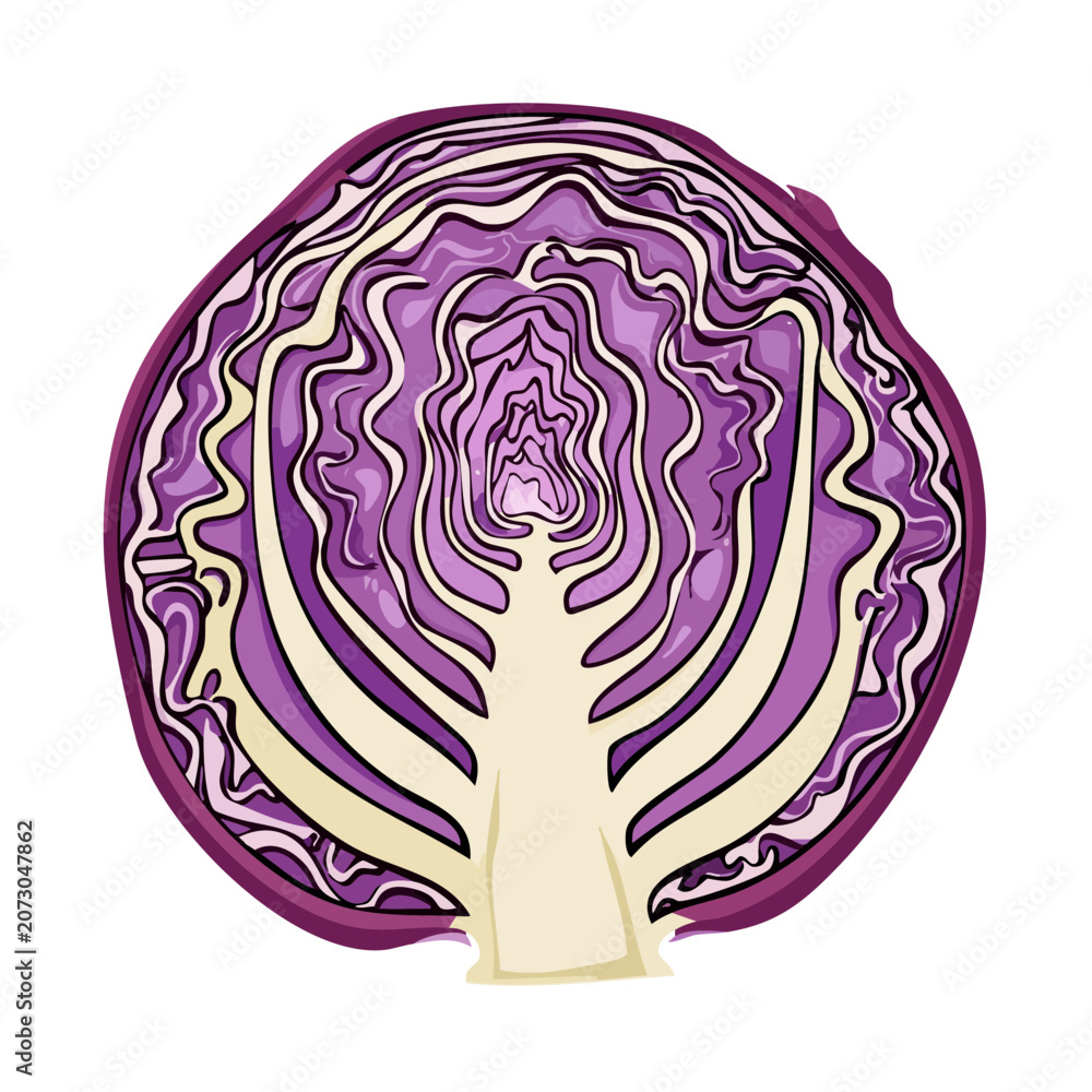Obraz premium Vibrant cross section of fresh red cabbage showcasing intricate leaf patterns and core structure