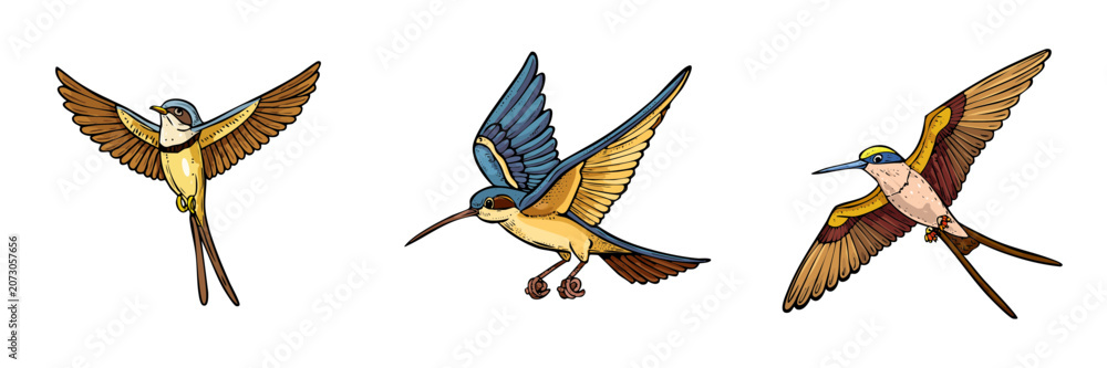 Fototapeta premium Set of three stylized flying birds with colorful plumage and wings spread