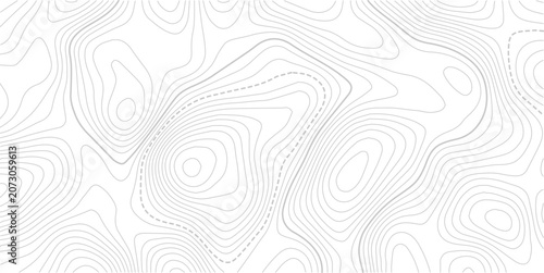 Stylized topographic contour map with space for text. Abstract lines and wavy background.Pattern of contour lines. Abstract vector illustration.