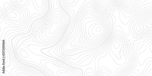 Stylized topographic contour map with space for text. Abstract lines and wavy background.Pattern of contour lines. Abstract vector illustration.
