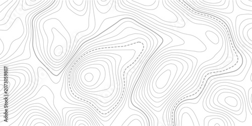 Stylized topographic contour map with space for text. Abstract lines and wavy background.Pattern of contour lines. Abstract vector illustration.
