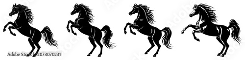 Φωτογραφία Stallion horse rearing and galloping in powerful silhouette poses