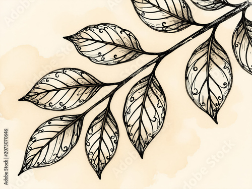Elegant botanical line drawing of a branch with leaves and detailed patterns