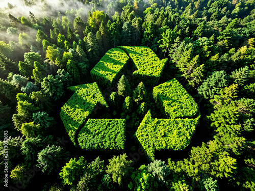 An aerial photograph of a recycling symbol made up of forest trees as a global concept for ecology and nature conservation