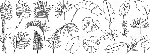 Tropical leaves vector. Set of palm leaves silhouettes isolated on white background.