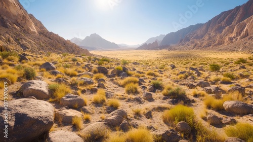 Expansive desert valley with scattered rocks and sparse vegetation under a bright sunny sky