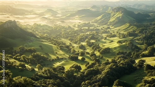 Expansive green valley bathed in soft morning sunlight with rolling hills and scattered trees
