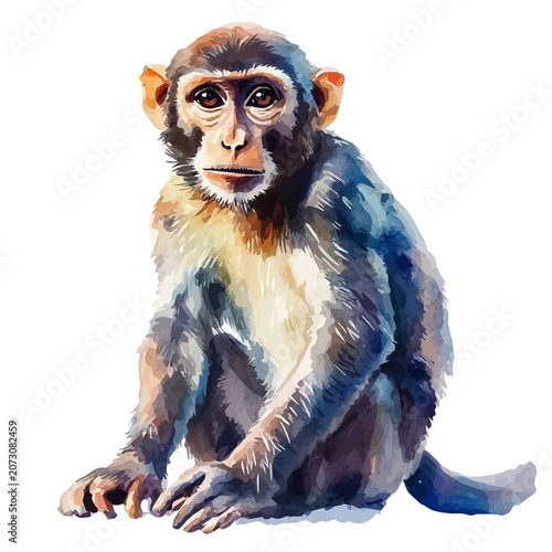 Photography Monkey, illustration watercolor artwork with subtle gradients and elegant contours, isolated on a white background