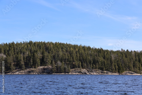 Northern landscape. National park. Bay of water and forest on the crag. Spring. Republic of Karelia - Russia. Lahdenpohja. 