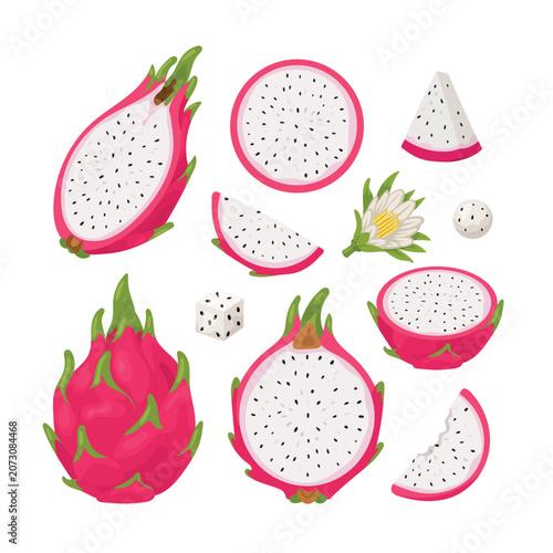 Flat vector set of dragon fruit illustrations featuring whole fruits, halves, slices, flower, and pieces isolated on a white background. Tropical food collection.