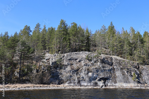 Northern landscape. National park. Bay of water and forest on the crag. Spring. Republic of Karelia - Russia. Lahdenpohja. 
