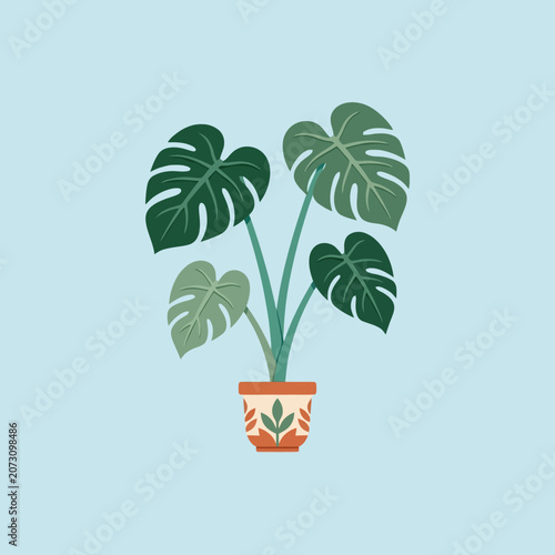 A potted houseplant with large green leaves on blue background