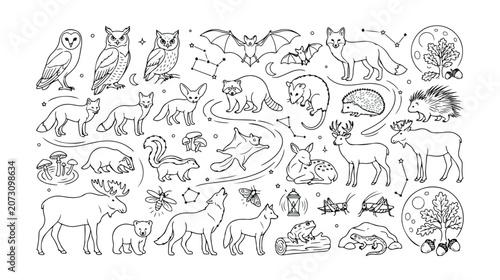 Forest animals vector line art collection, hand-drawn wildlife creatures and woodland elements, nature-themed illustrations for educational designs, children's books, and outdoor branding.