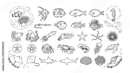 Oceanic marine life vector collection, hand-drawn sea creatures and underwater animals, black and white aquatic fauna illustrations for educational and design projects