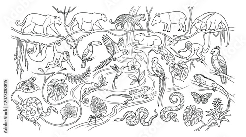 Amazon Rainforest Wildlife Vector Set, detailed jungle animals and plants, exotic flora and fauna line art collection, tropical ecosystem illustration for educational and design projects