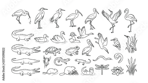 Wetland wildlife vector collection, hand-drawn swamp animals, birds, reptiles, and insects, black and white line art illustrations for nature and ecosystem designs, 40 icons set