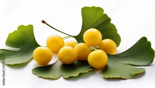 Ginkgo Biloba Ripe Yellow Fruits And Green Leaves Is Isolated On White Background