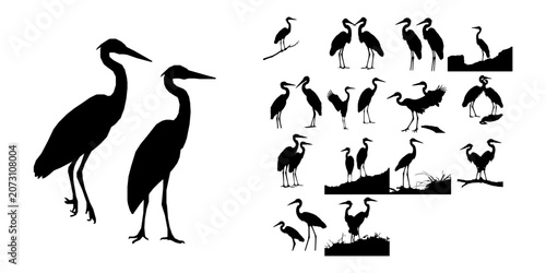 Pair Of Great Blue Herons Silhouette