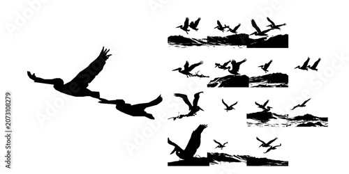 Bild auf Leinwand Pair Of Pelicans Skimming A Wave Silhouette