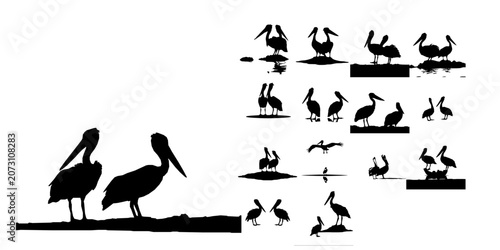 Schilderij op canvas Pair Of Pelicans On A Sandbar Silhouette