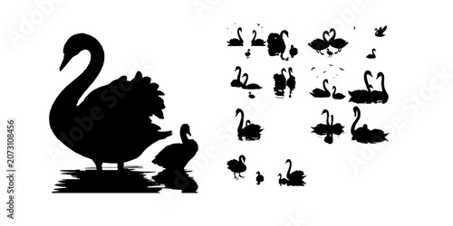 Obraz na płótnie Pair Of Swans And A Cygnet Silhouette