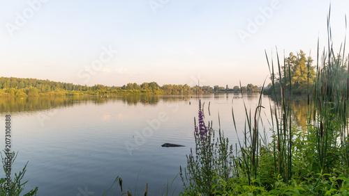 Peaceful Summer Morning at Harchies Marshlands