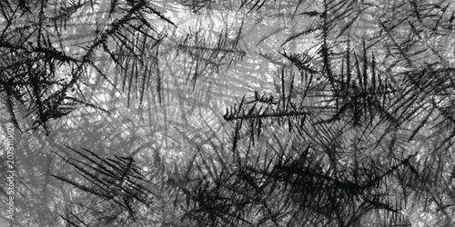 Fotografie Abstract monochrome background, featuring intricate, dark, fern-like crystalline