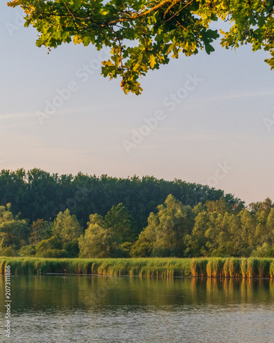 Peaceful Wetland Reflections at Sunrise