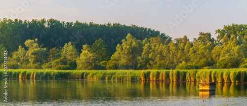 Golden Dawn Across the Harchies Marshlands