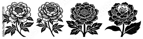 Schilderij op canvas Peony flowers with leaves in classical black and white botanical engraving style