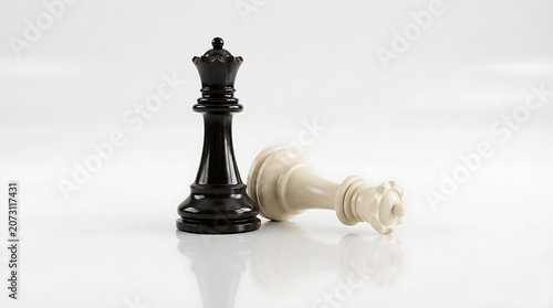 Chess pieces with black knight and white pawn