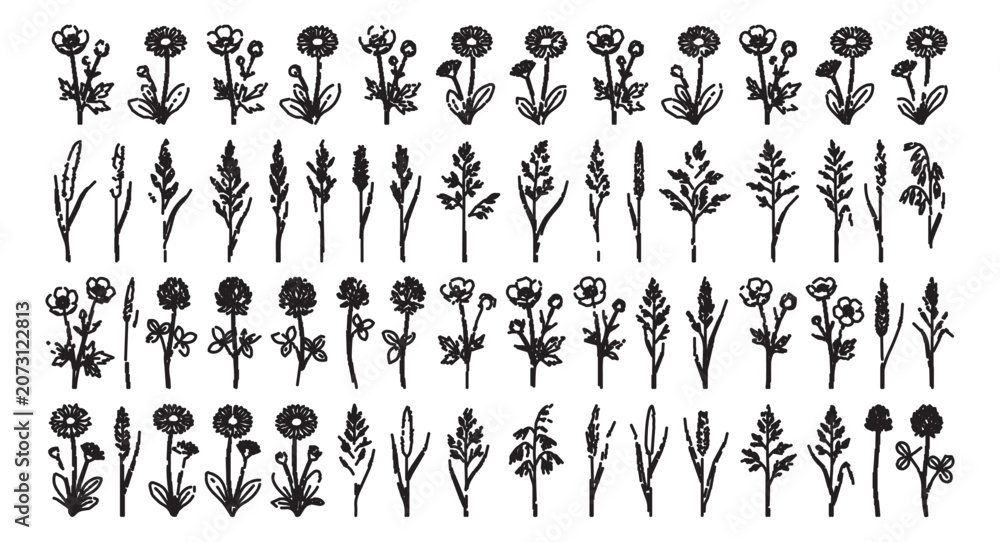 Obraz premium Hand drawn wildflower sketches, set of 60 botanical ink illustrations, rustic black floral vector elements for wedding invitations and branding