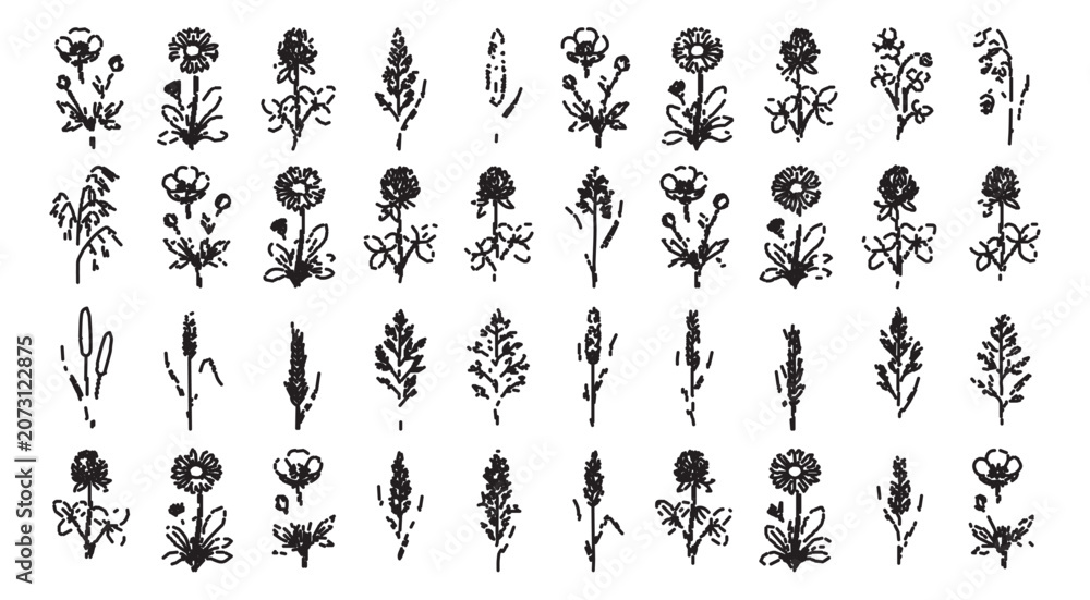 Obraz premium Vintage hand drawn wildflower sketches, set of 40 rustic floral line art icons, black ink botanical illustrations on white background vector
