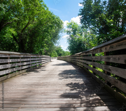 wooden bridge in the forest