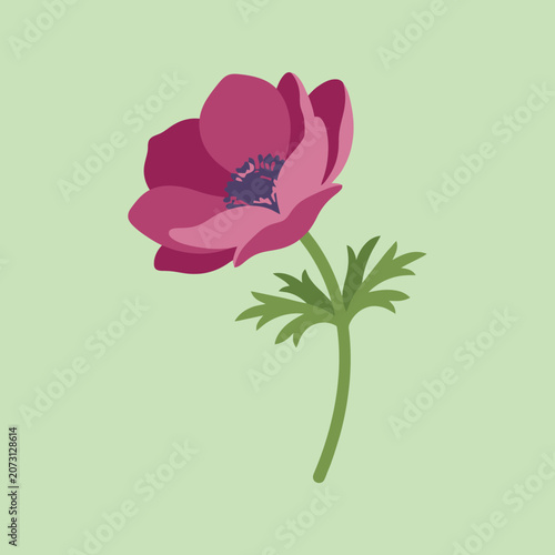A single magenta flower blooms against a soft green background