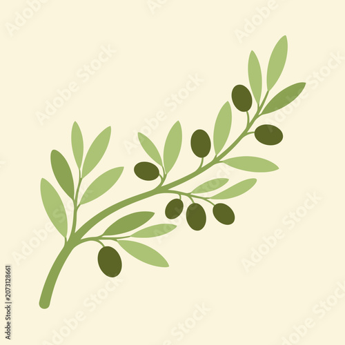A simple illustration of a green olive branch on cream background