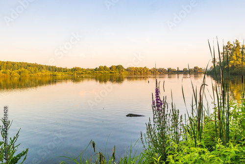 Golden Sunrise Over Harchies Wetlands
