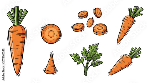 Collection of cartoon carrots, whole, sliced, and leafy tops, isolated on white