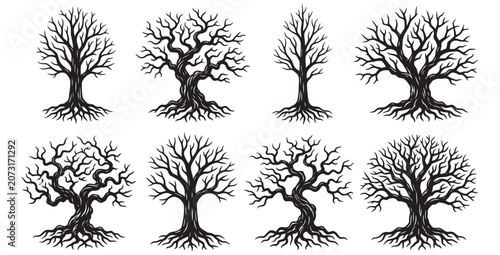 Photos Collection of eight distinct bare trees with prominent root systems on transpare