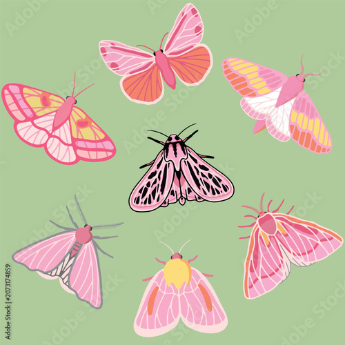 Cute pink moths and butterflies vector illustration set on sage bg