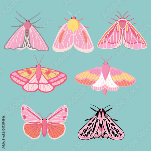 Cute pink moths and butterflies vector illustration set on teal bg