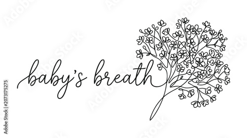 Elegant logo featuring baby's breath bouquet and delicate floral illustration.