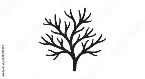 Photos Black Coral Silhouette On White Background Branching Marine Invertebrate