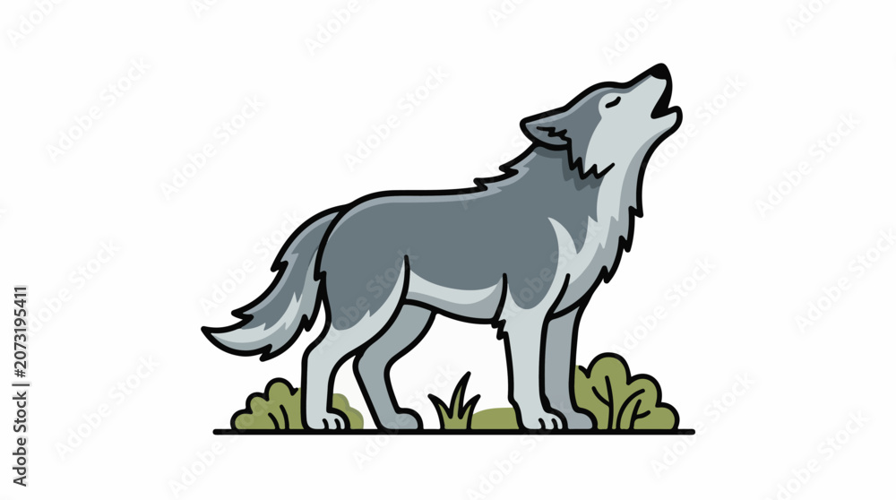 Fototapeta premium A gray wolf stands on grass and howls towards the right