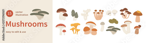 Autumn Mushroom Vector Illustration Set, Hand Drawn Fall Forest Fungi, Botanical Natural Elements Collection for Graphic Design