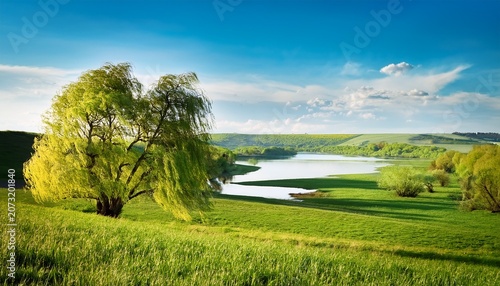 Willow Against A Spring Landscape