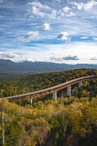 Spectacular vertical view of Matsumi Bridge high bridge over vast golden autumn valley at Mikuni Pass, Hokkaido